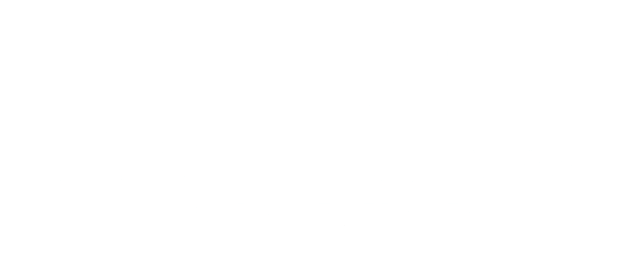 Nahir Salas Insurance Services