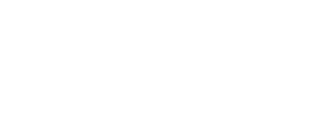 Nahir Salas Insurance Services